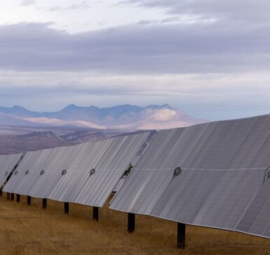 Solar is crushing gas power in California this year